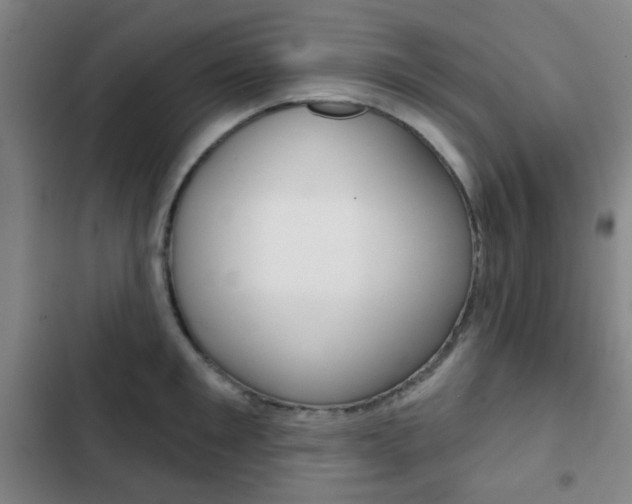 X0000103260901200808291040