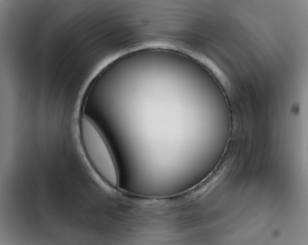 X0000103260902200808291040
