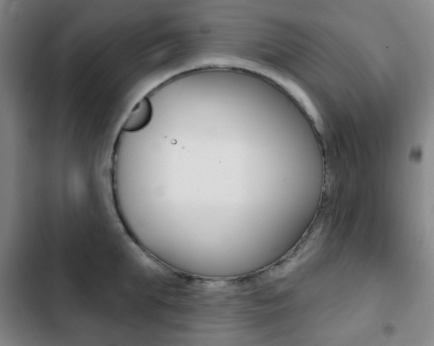 X0000103260903200808291040