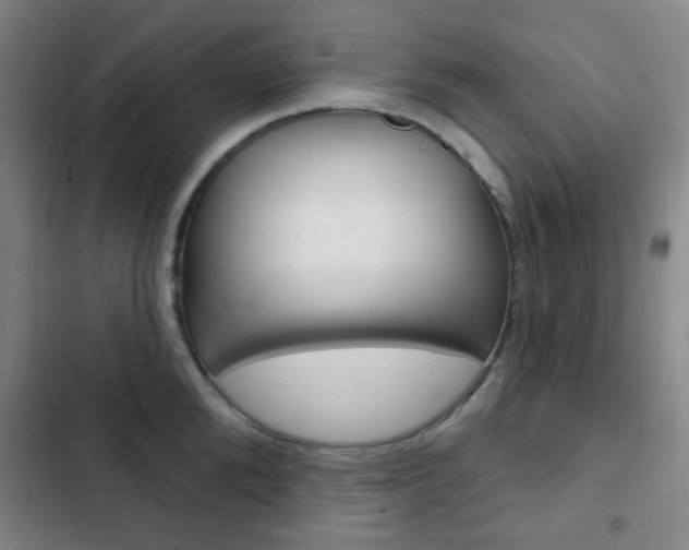 X0000103260904200808291040