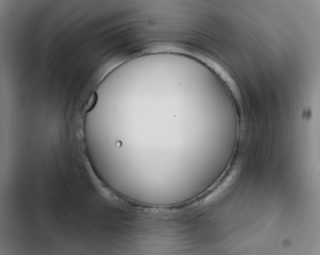 X0000103260905200808291040