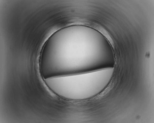 X0000103260906200808291040