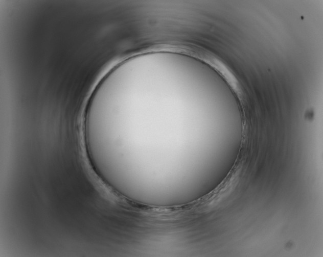 X0000103260907200808291040