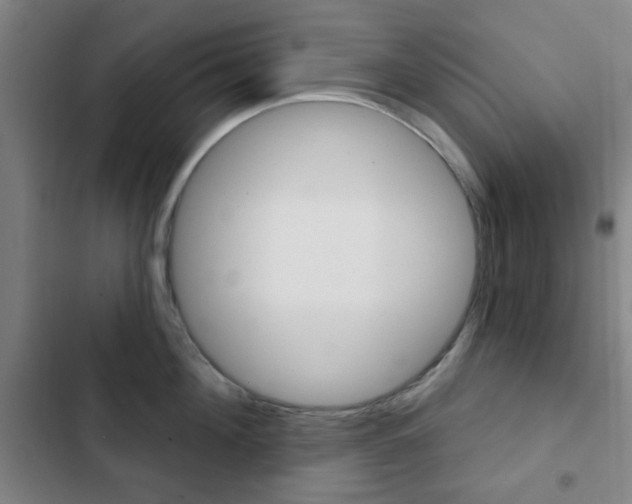 X0000103260908200808291040