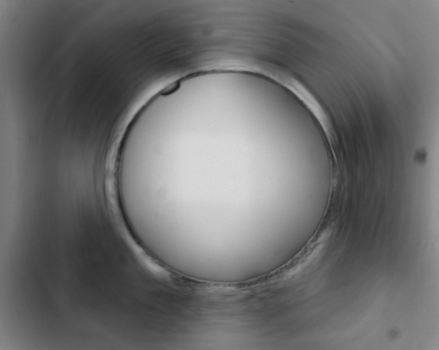 X0000103260909200808291040