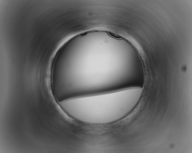 X0000103260910200808291040