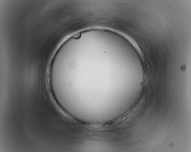 X0000103260911200808291040