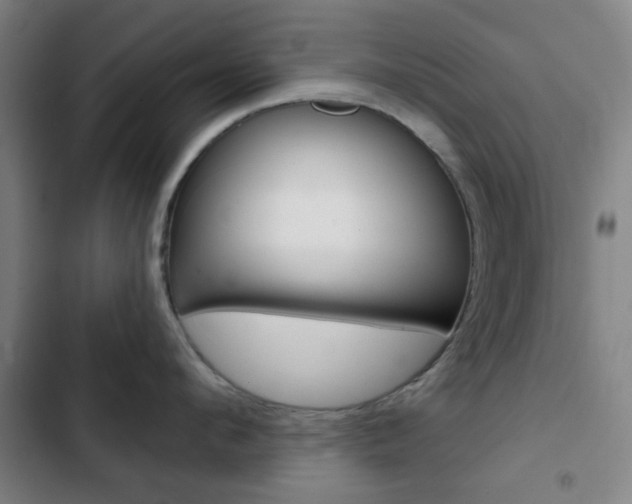 X0000103260912200808291040