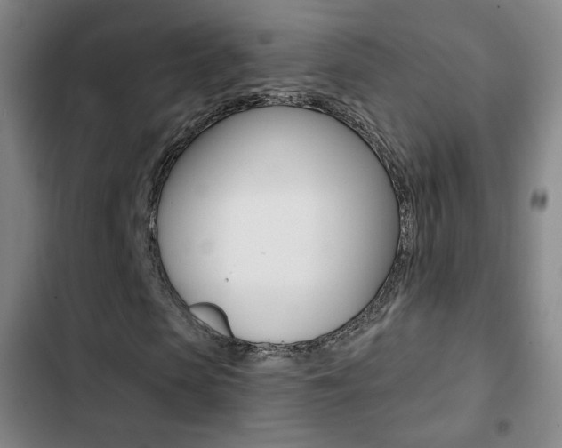 X0000103260913200808291039