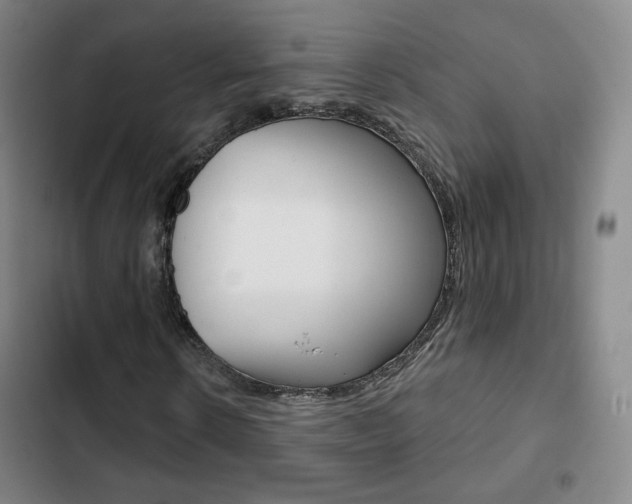 X0000103260914200808291039