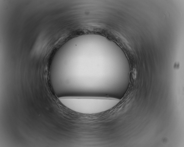 X0000103260915200808291039