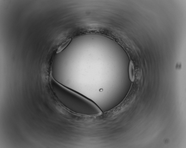 X0000103260916200808291039