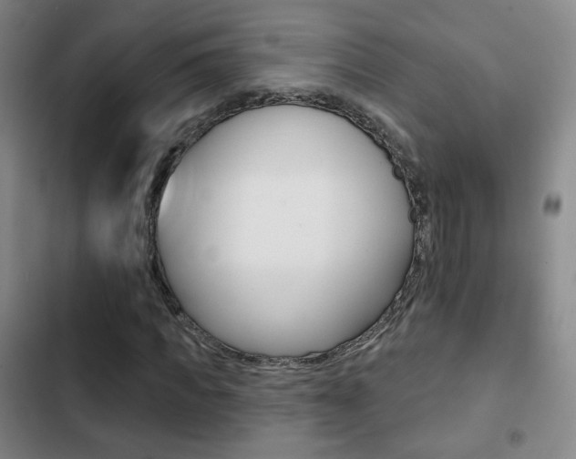 X0000103260917200808291039