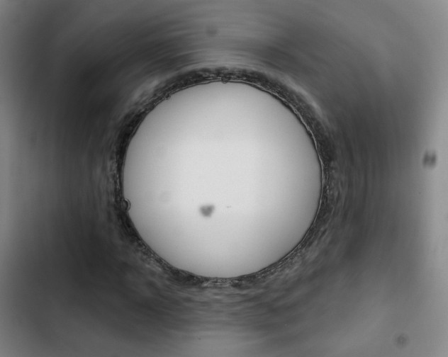 X0000103260918200808291039