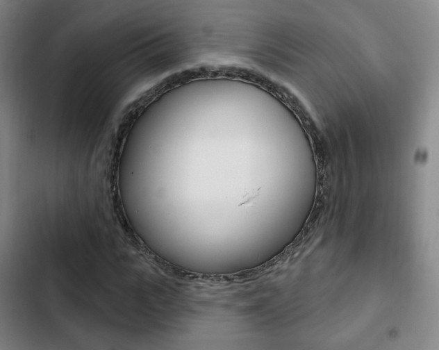X0000103260919200808291039