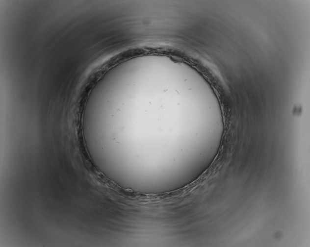 X0000103260920200808291039