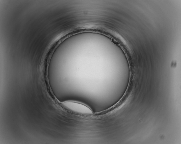 X0000103260922200808291039