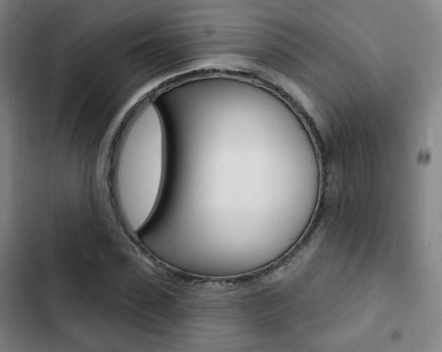 X0000103260923200808291039