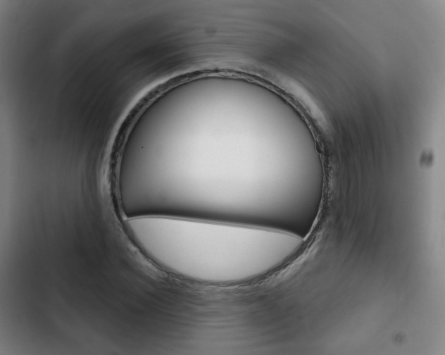 X0000103260924200808291039