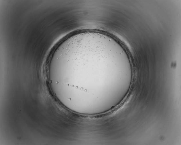 X0000103260925200808291039
