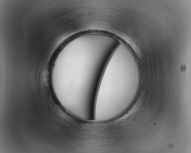 X0000103260926200808291039