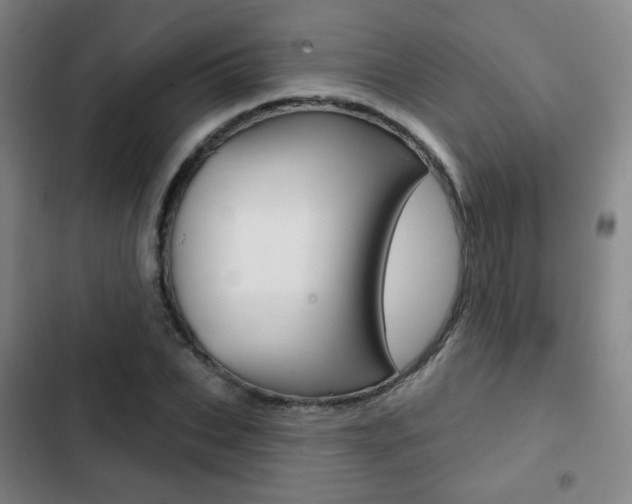 X0000103260927200808291039