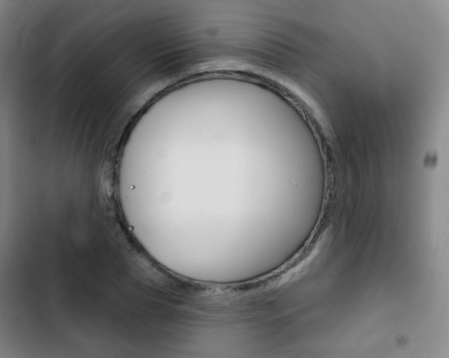 X0000103260929200808291039