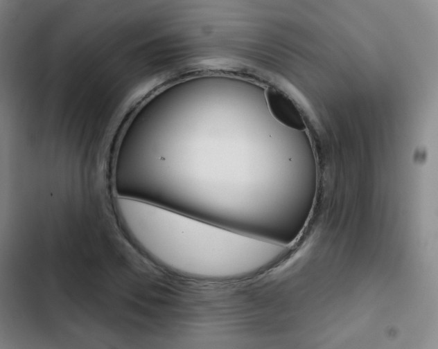 X0000103260930200808291039