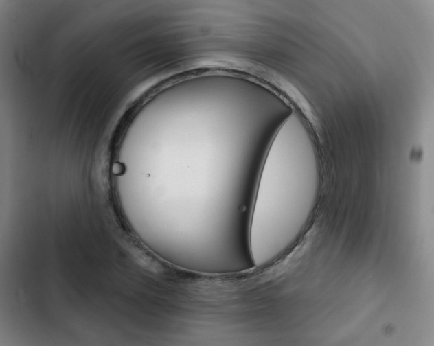 X0000103260931200808291039