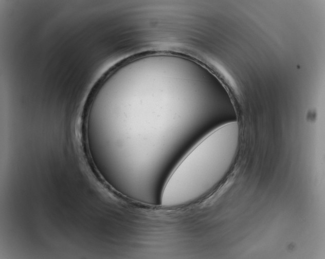 X0000103260932200808291039