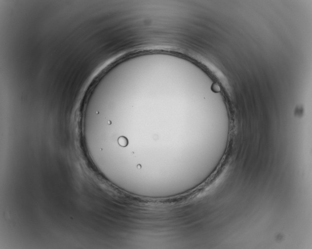 X0000103260933200808291039