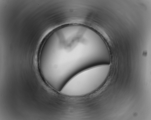 X0000103260936200808291039