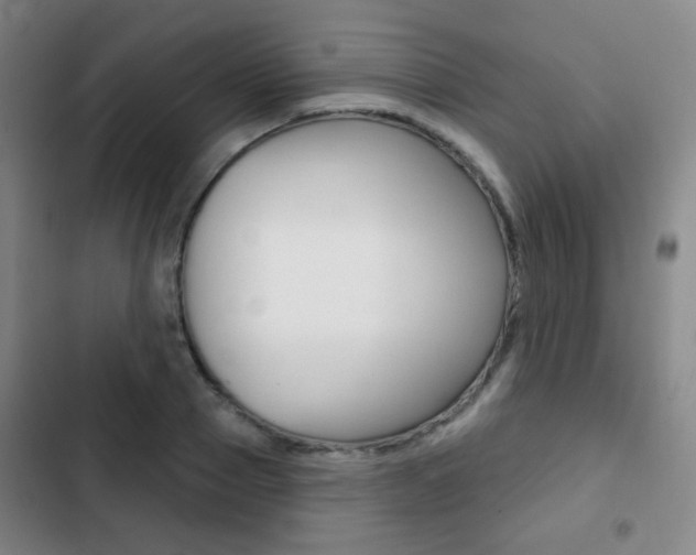 X0000103260937200808291039