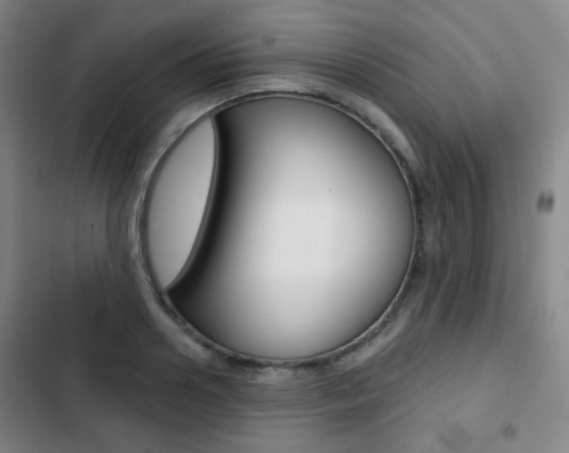 X0000103260938200808291039