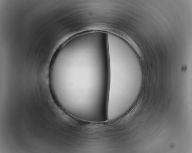 X0000103260939200808291039