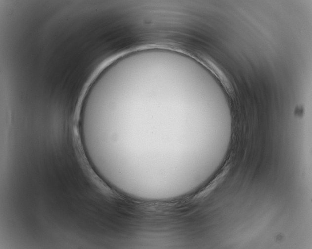 X0000103260940200808291039