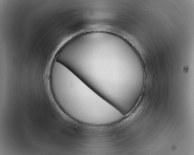 X0000103260941200808291039