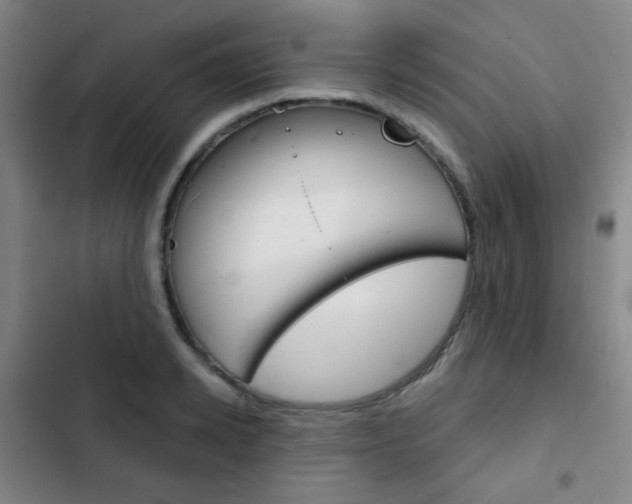 X0000103260942200808291039