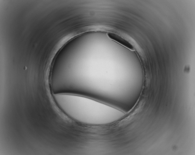 X0000103260946200808291039