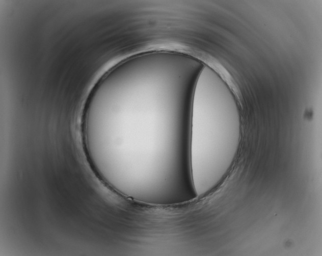 X0000103260947200808291039