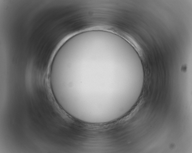 X0000103260948200808291039