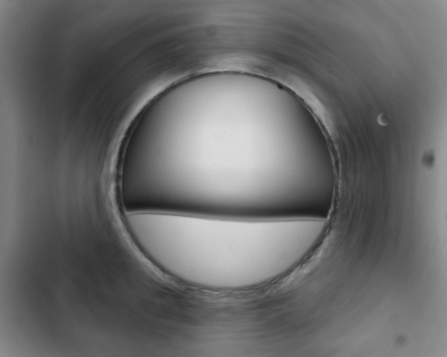 X0000103260949200808291039