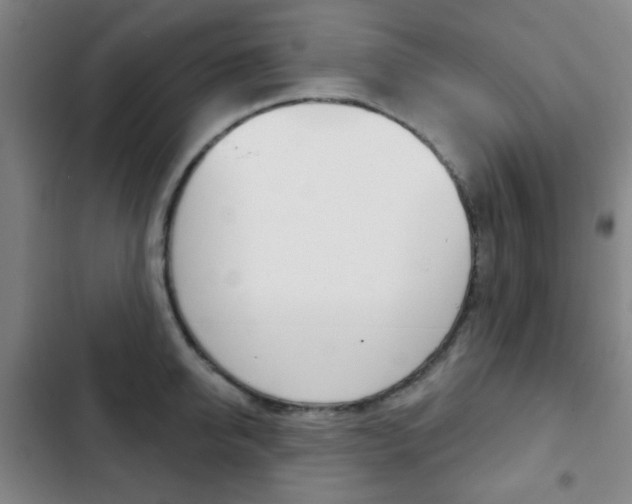 X0000103260950200808291039