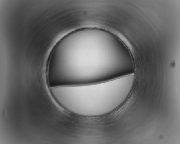 X0000103260951200808291039