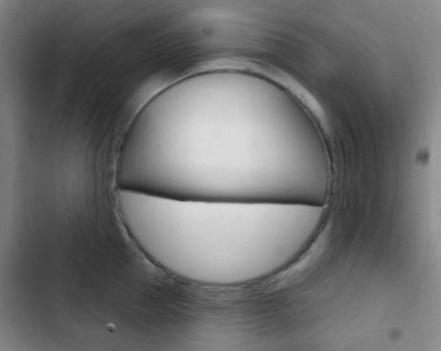X0000103260953200808291039