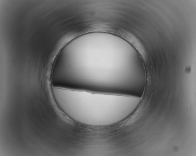 X0000103260954200808291039
