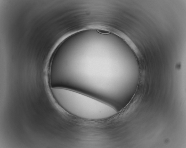 X0000103260955200808291039