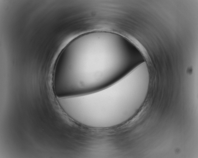 X0000103260956200808291039