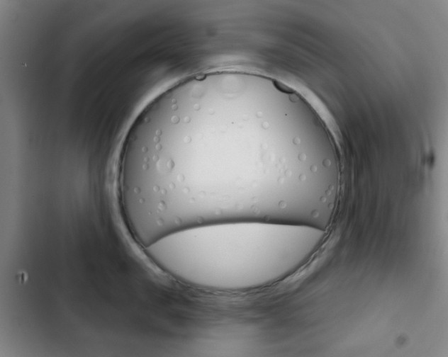 X0000103260957200808291039