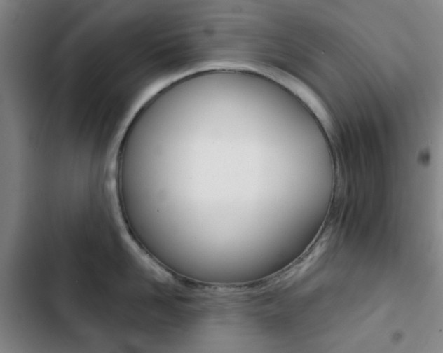 X0000103260958200808291039